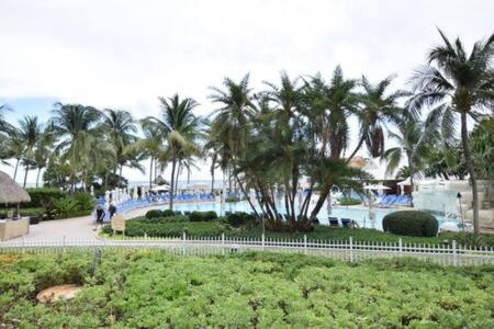 The Palms, Ocean View Studio Located At Ritz Carlton - Key Biscayne Miami Exterior foto